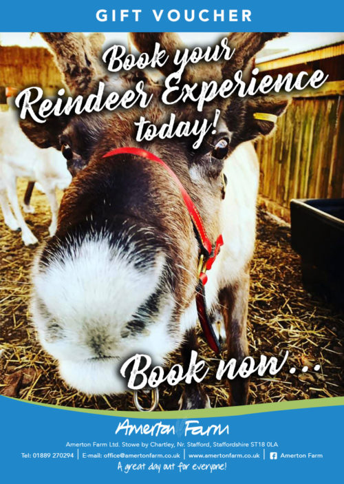 Animal Experiences Amerton Farm