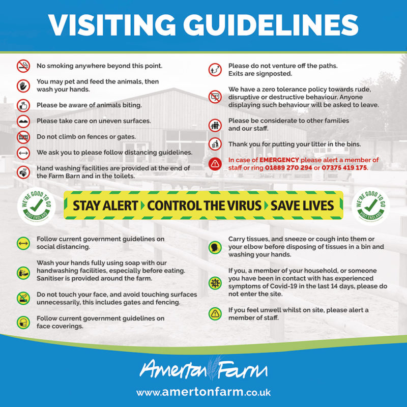 Amerton Farm Family days out in Staffordshire Animals Food