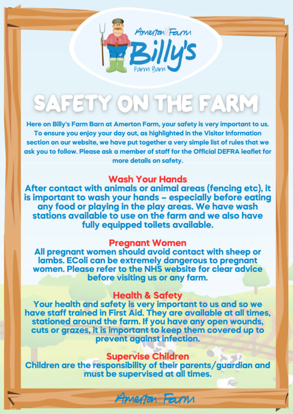 Amerton Farm Family days out in Staffordshire Animals Food